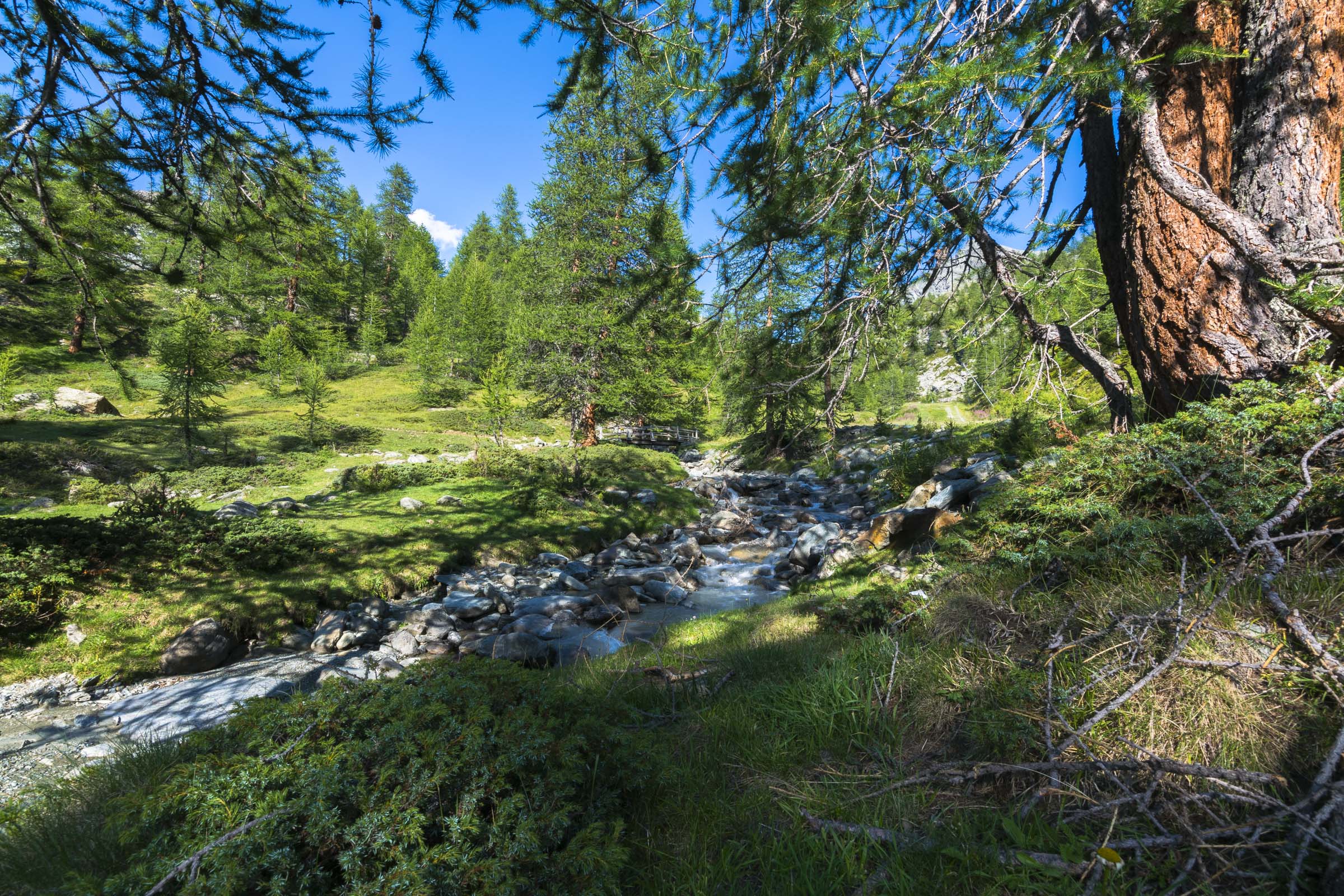 Escursione Colle Bettaforca Valle d'Ayas