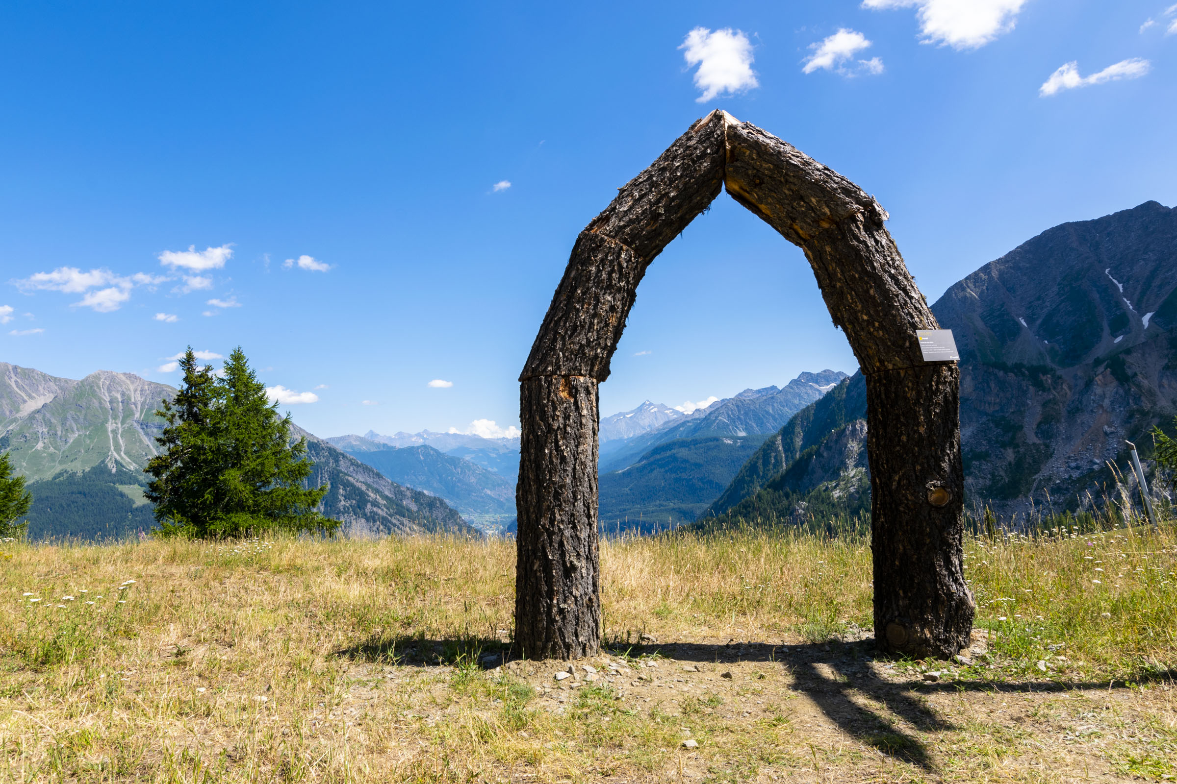 Sculure in legno Courmayeur