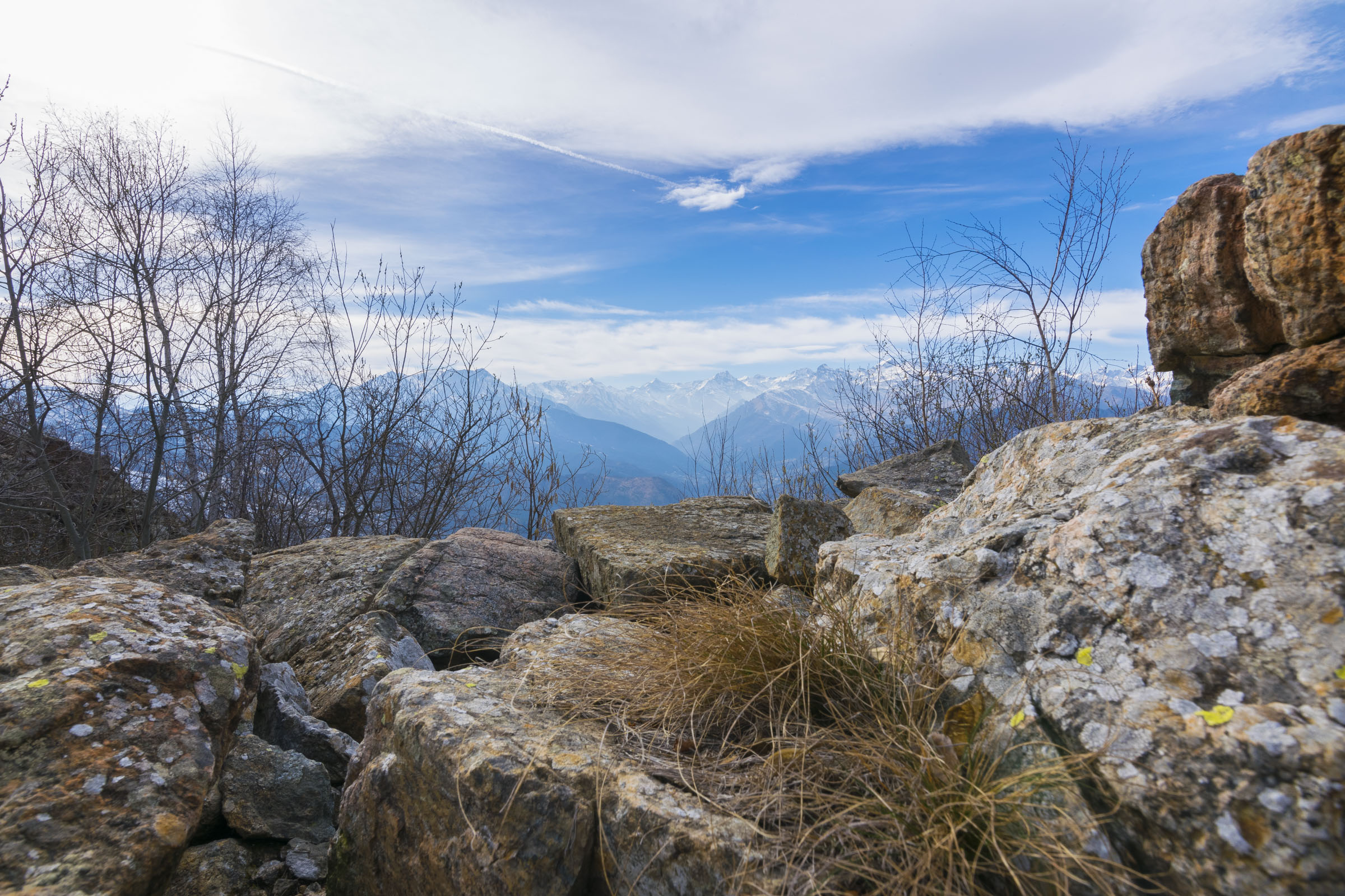 Il Turu