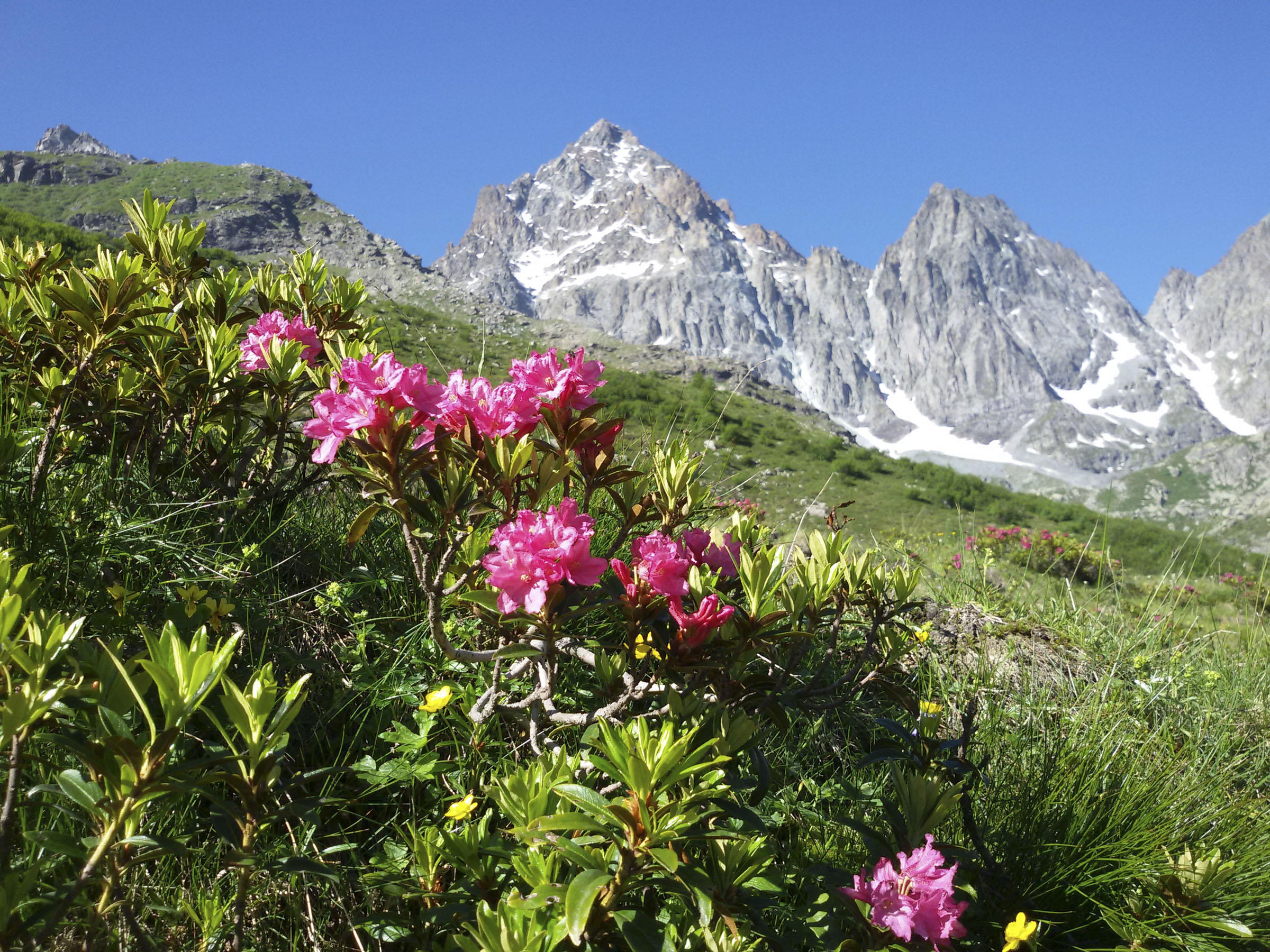 Monviso