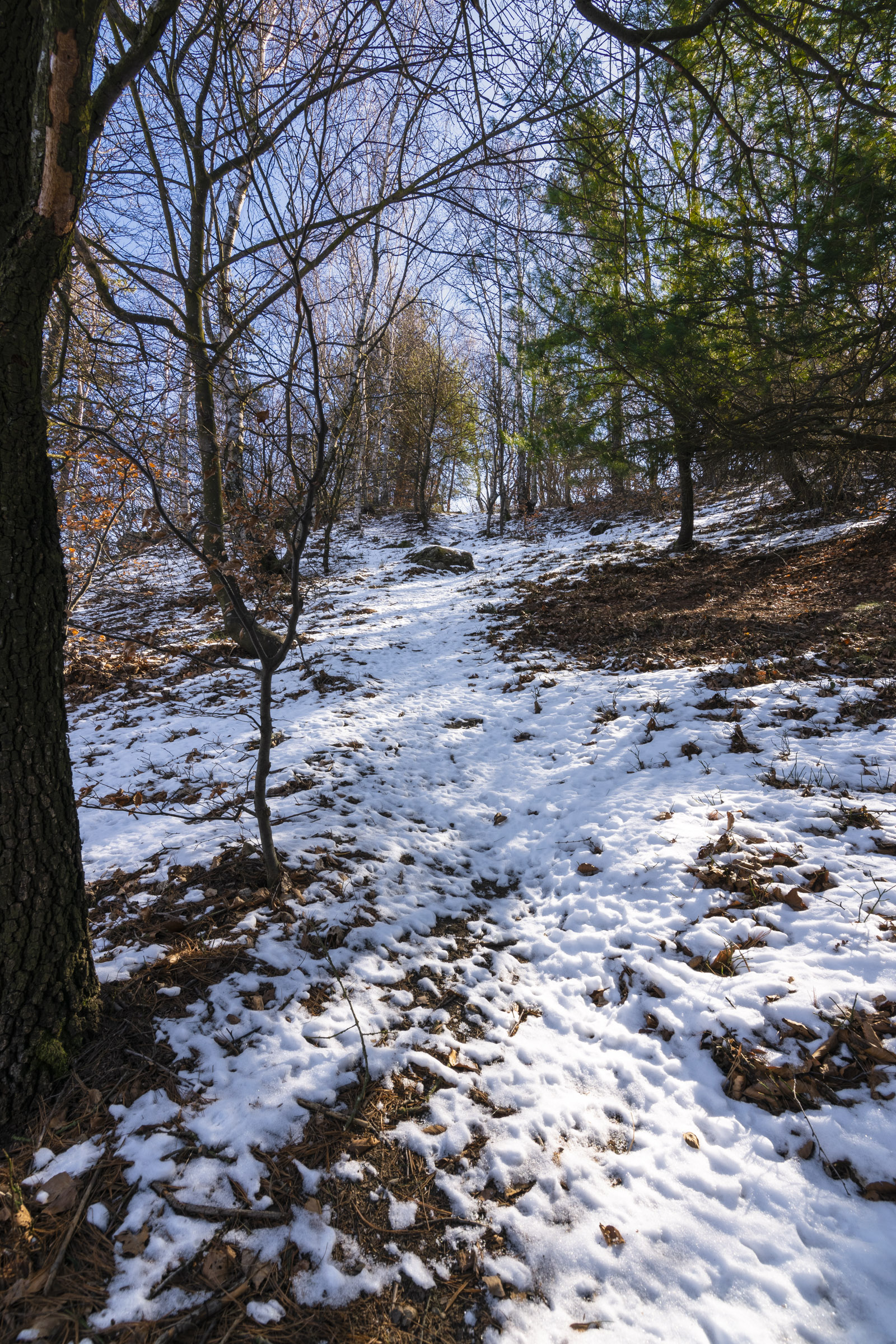 Escursione Monte Ciabergia