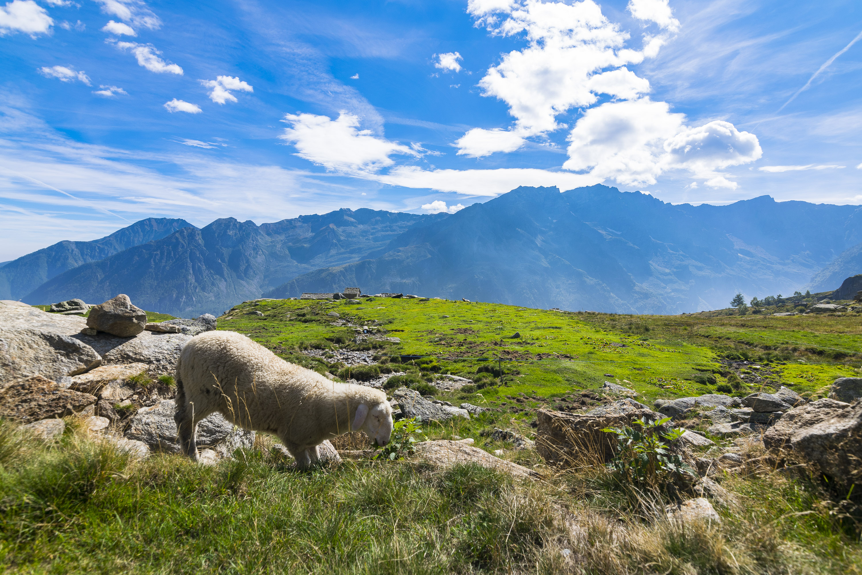 alpeggi e malghe