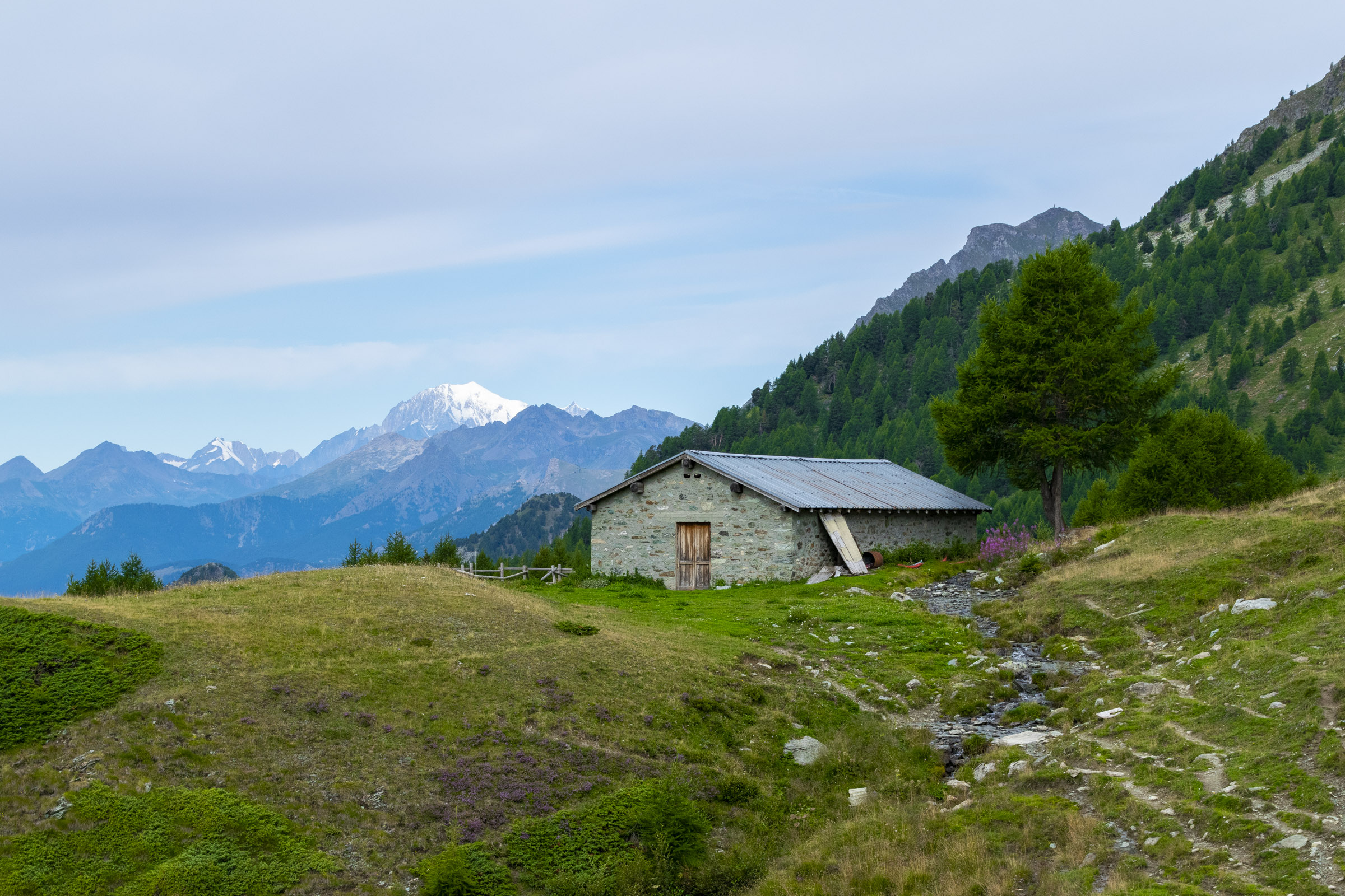 Monte Bianco dalla Val d'Ayas