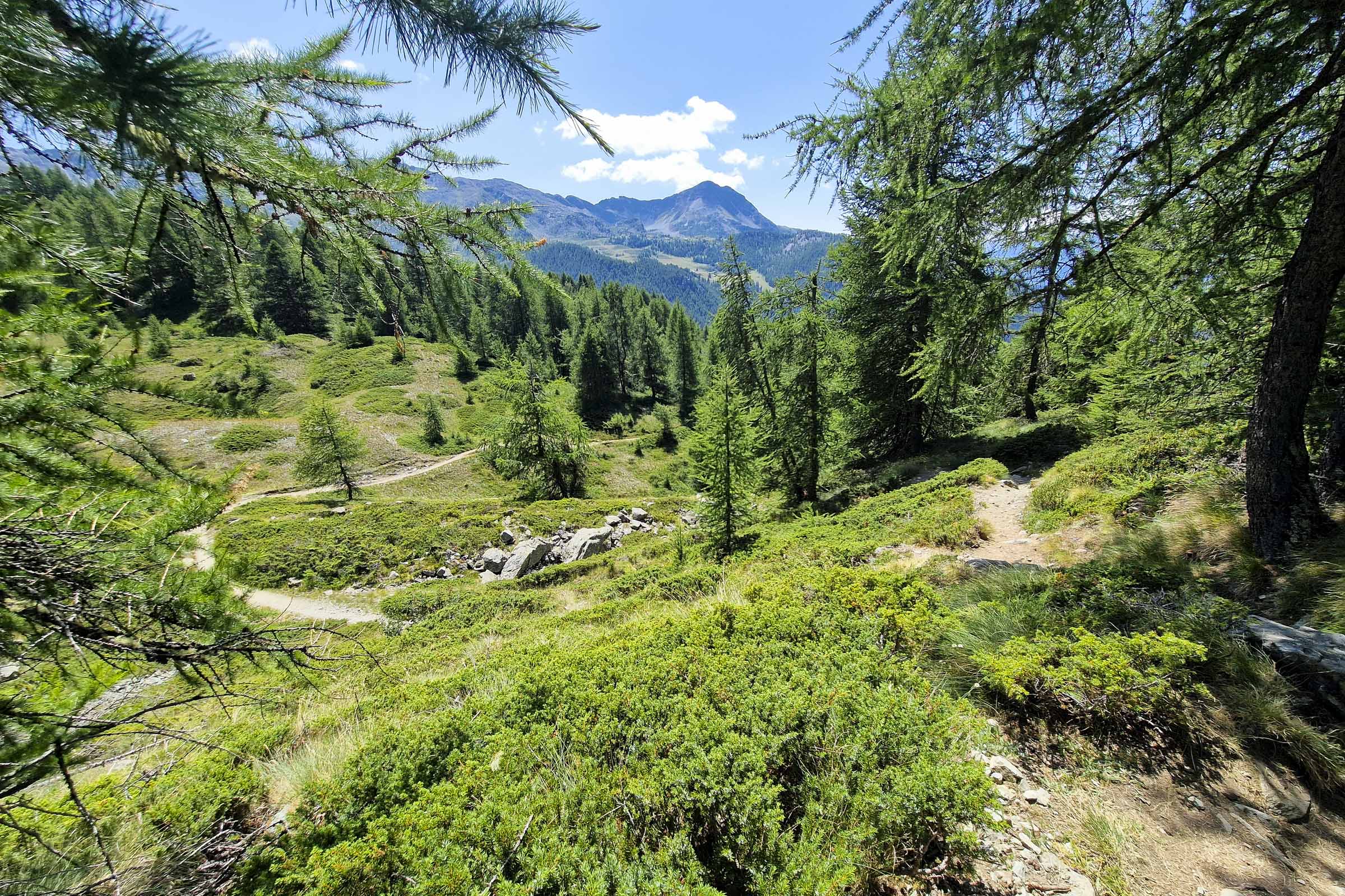 Escursioni Chamois